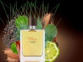 Pánsky parfum Terre d’Hermès Vetiver Eau Intense